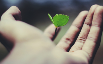 5 Reasons Why Studying Organizational Behavior is the Key to Business Success